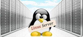 How to Update Software on Linux Server