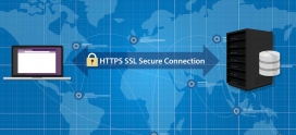 Purpose of using SSL certificates